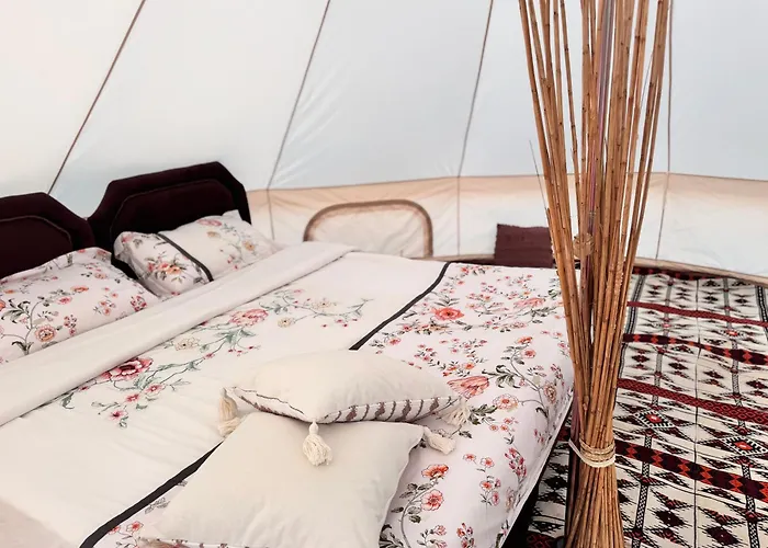 Starlight Privet Camp